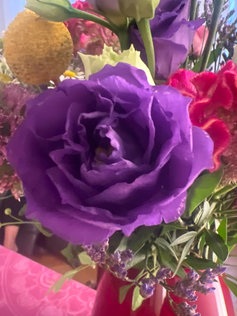 Rosa giapponese (Lisianthus) — foto 2 di 3