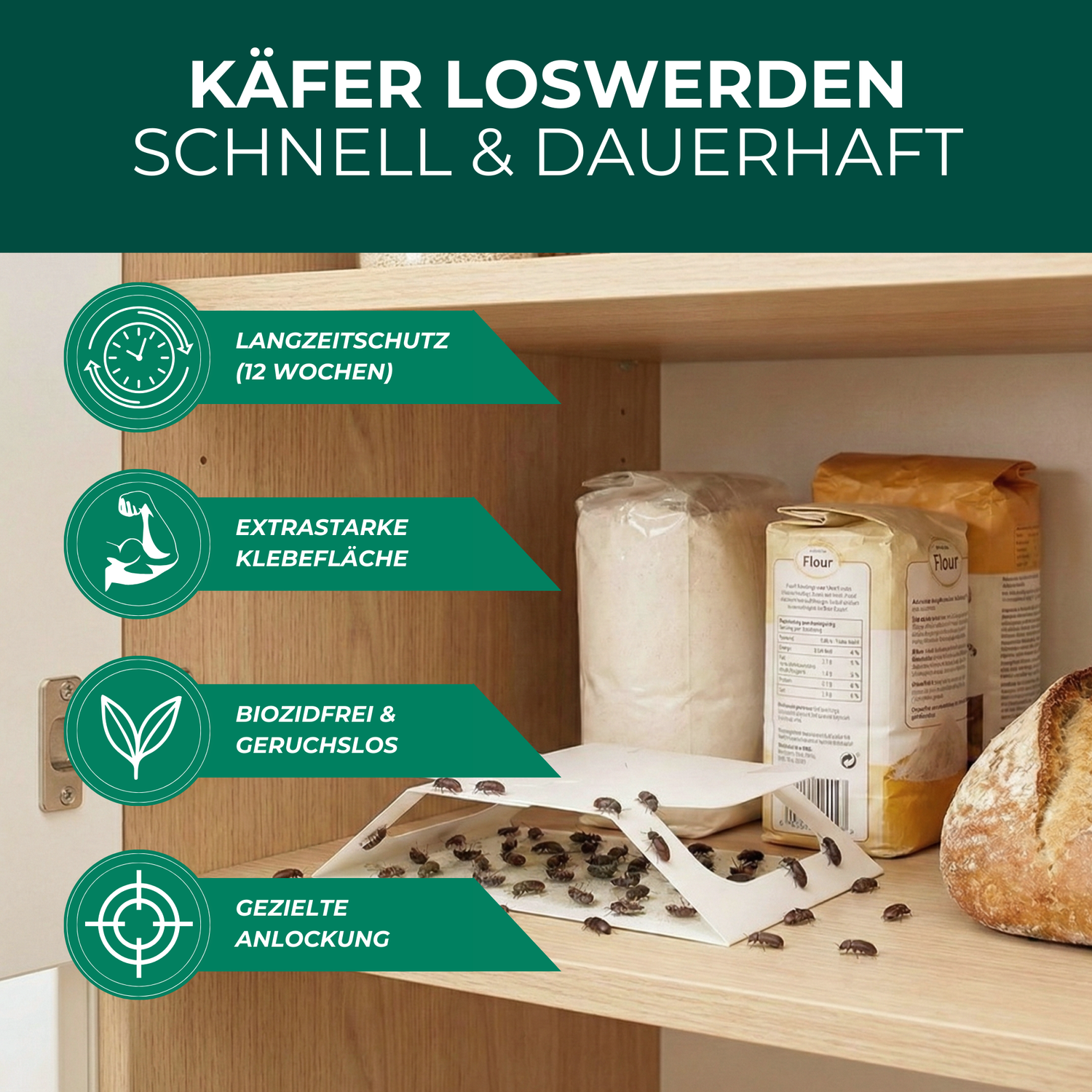Käferfalle im Küchenschrank – gezielte Anlockung und Fang von Brotkäfern, Speckkäfern und Vorratsschädlingen