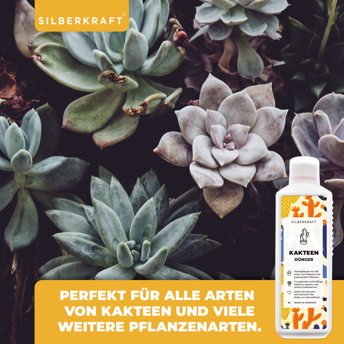 Fertilizzante per cactus - Fertilizzante liquido minerale NPK con azoto - Fertilizzante per cactus e succulente - Fertilizzazione dei cactus