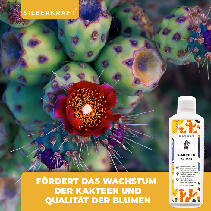 Fertilizzante per cactus - Fertilizzante liquido minerale NPK con azoto - Fertilizzante per cactus e succulente - Fertilizzazione dei cactus