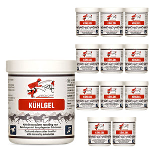 Kühlgel für Pferde: sanfte Entspannung & Regeneration - Silberkraft