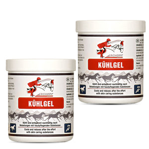 Kühlgel für Pferde: sanfte Entspannung & Regeneration - Silberkraft