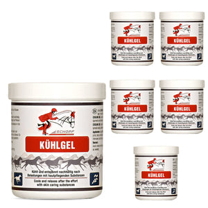Kühlgel für Pferde: sanfte Entspannung & Regeneration - Silberkraft