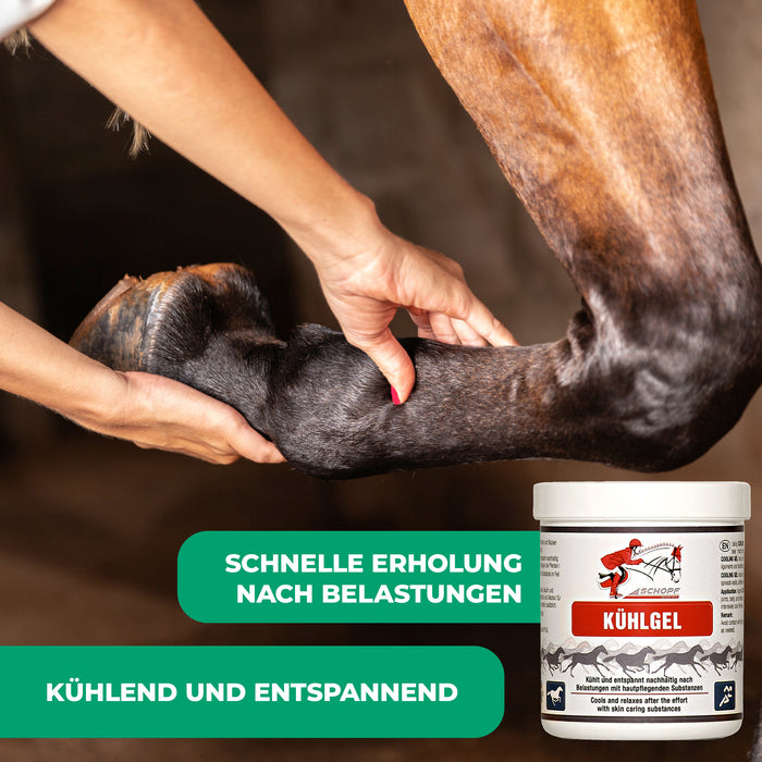 Gel rinfrescante per cavalli: dolce relax e rigenerazione