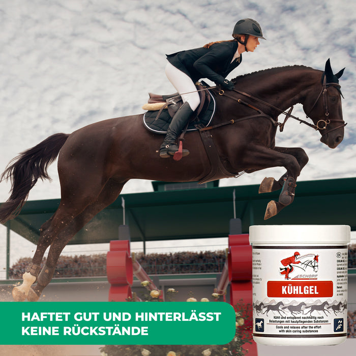 Gel rinfrescante per cavalli: dolce relax e rigenerazione
