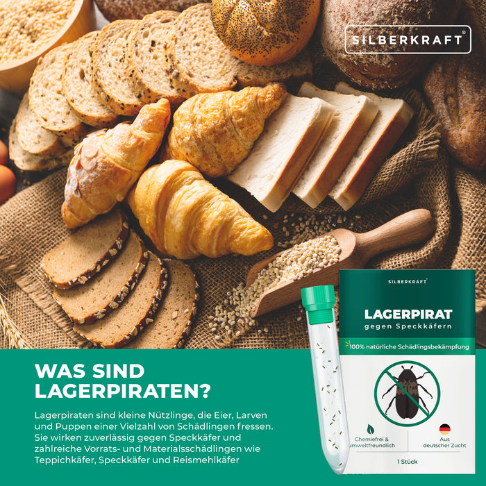 Lagerpirat per il controllo degli scarabei della dispensa, degli scarabei dei tappeti e dei parassiti dei prodotti immagazzinati