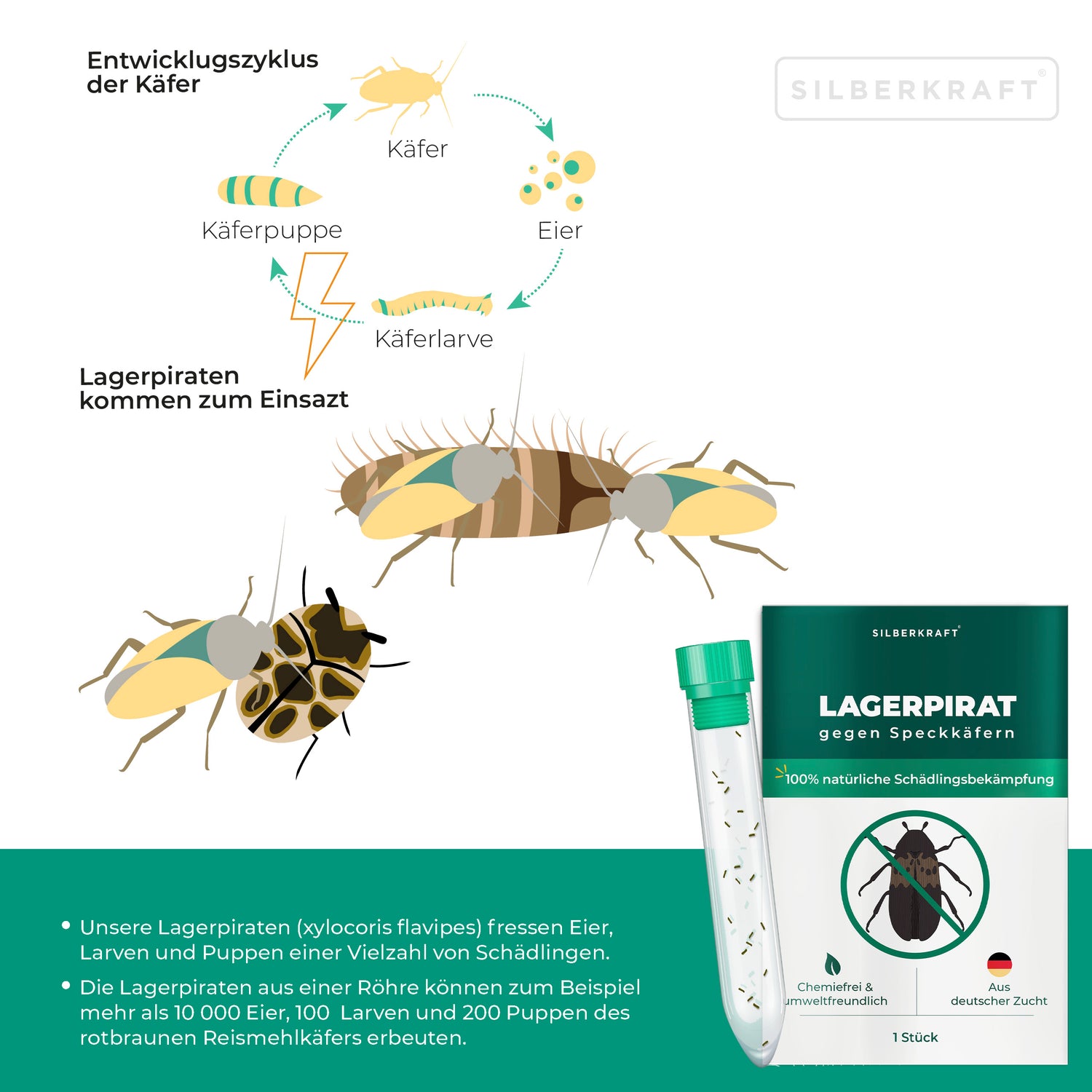 Problema e soluzione