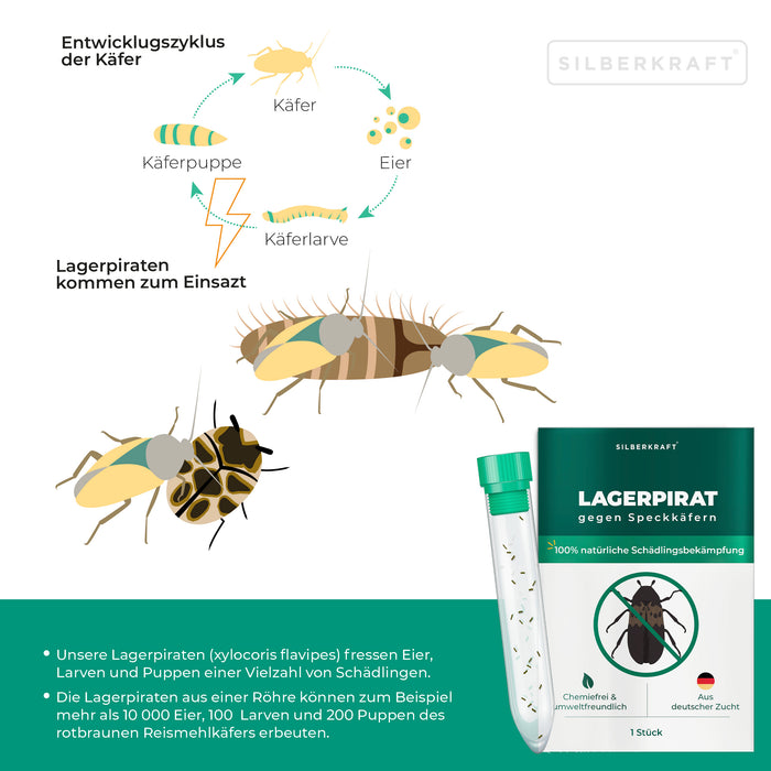 Lagerpirat per il controllo degli scarabei della dispensa, degli scarabei dei tappeti e dei parassiti dei prodotti immagazzinati