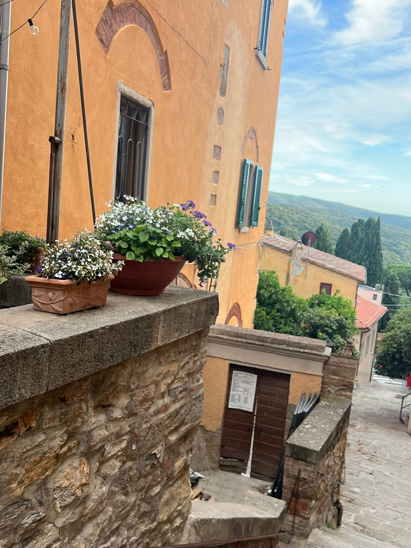 In due fioriere su un muro di pietra si trovano esemplari fioriti di lobelia con fiori blu e bianchi. Sullo sfondo si intravedono la facciata di una casa med...