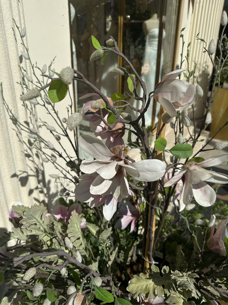 magnolia — Bild 2