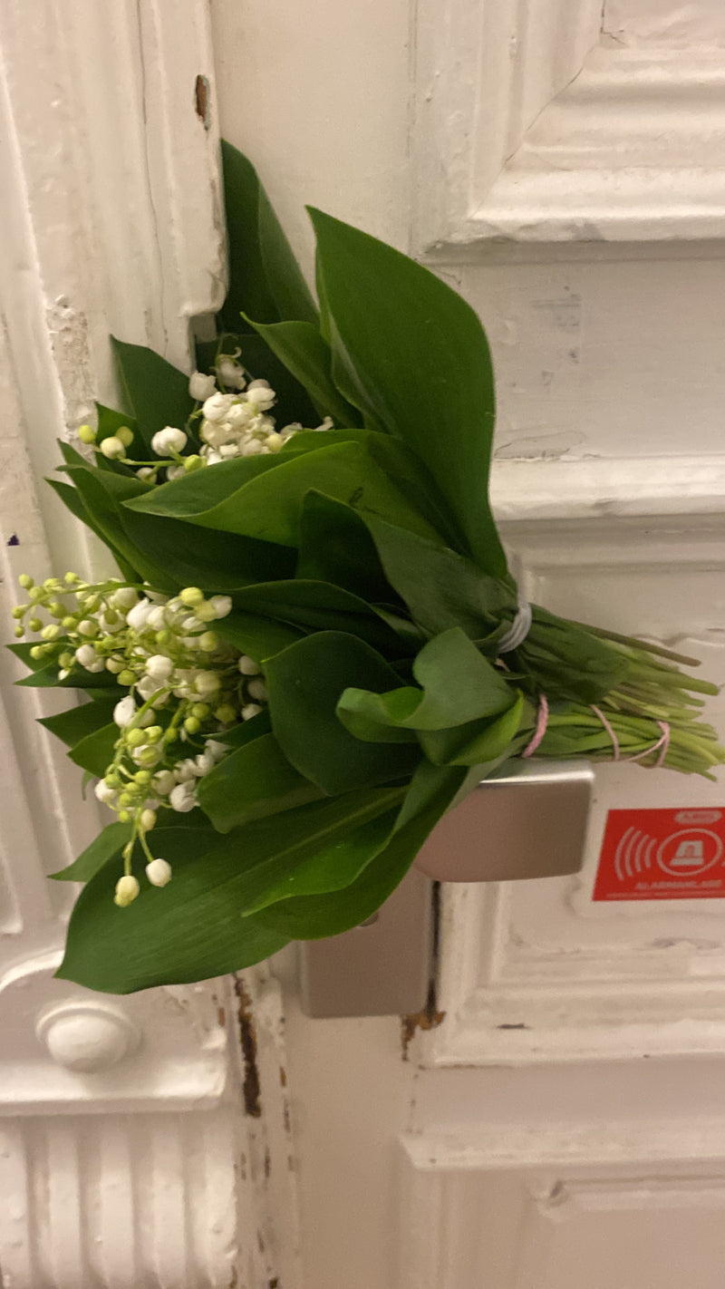 Un mazzo di mughetti appena legato con foglie verdi e fiori bianchi è appeso a una porta di legno chiaro. Le piante sono chiaramente visibili.