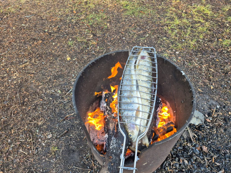 Maräne — foto 1 di 1
