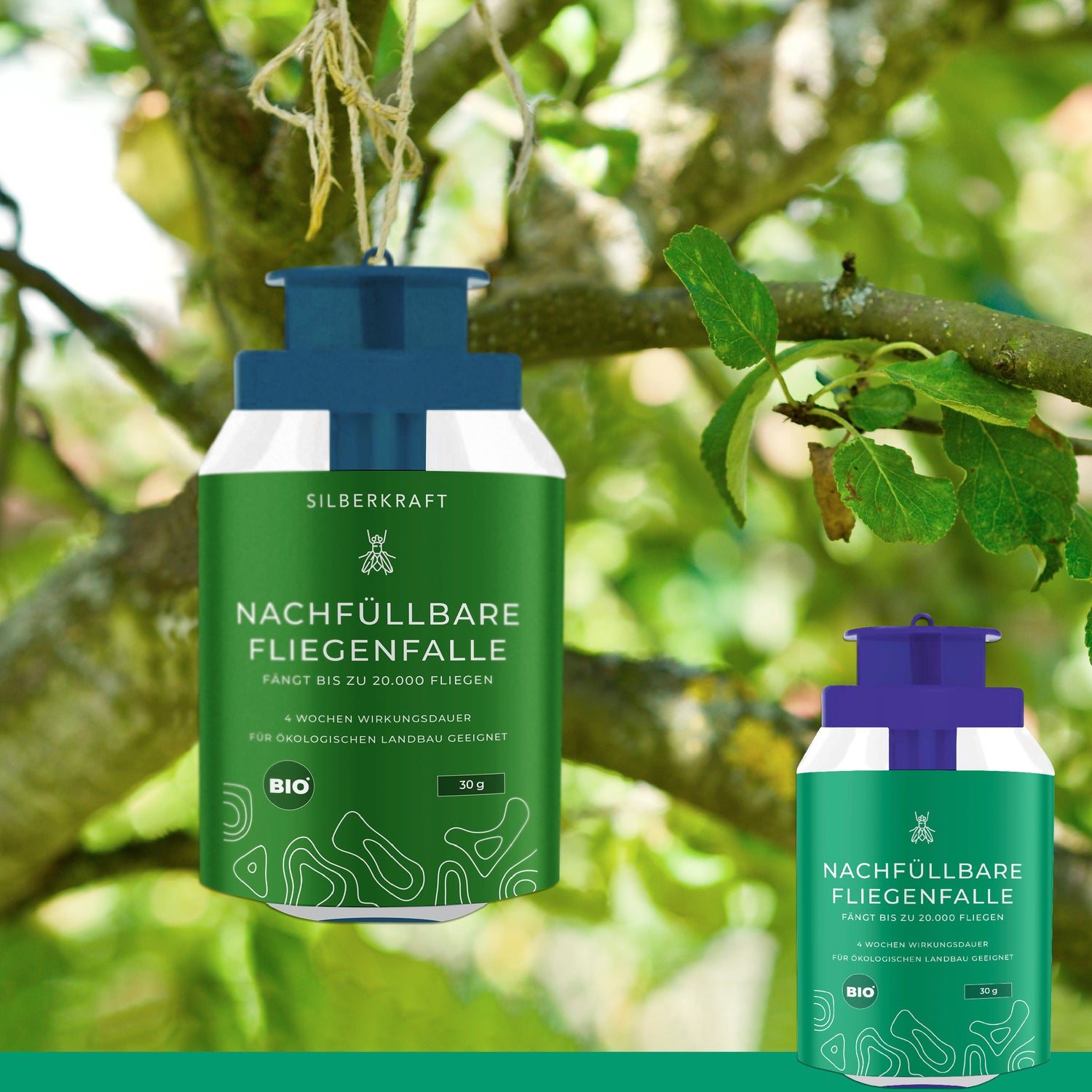 Maggiori informazioni