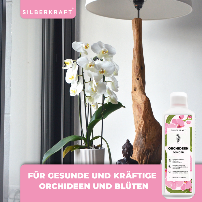 Fertilizzante per orchidee - Fertilizzante liquido minerale NPK con azoto - Fertilizzante per orchidee - Fertilizzazione delle orchidee