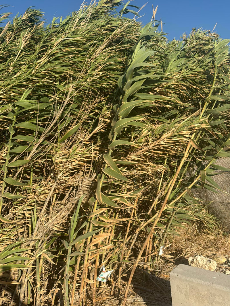tubo di mucchio — foto 4 di 11