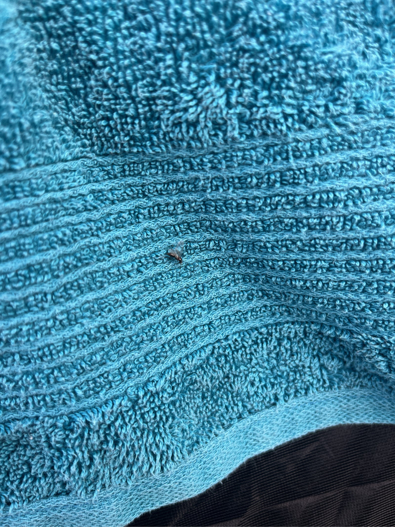 Un esemplare adulto di Tingide del platano siede su un asciugamano blu. Il piccolo insetto è chiaramente visibile.