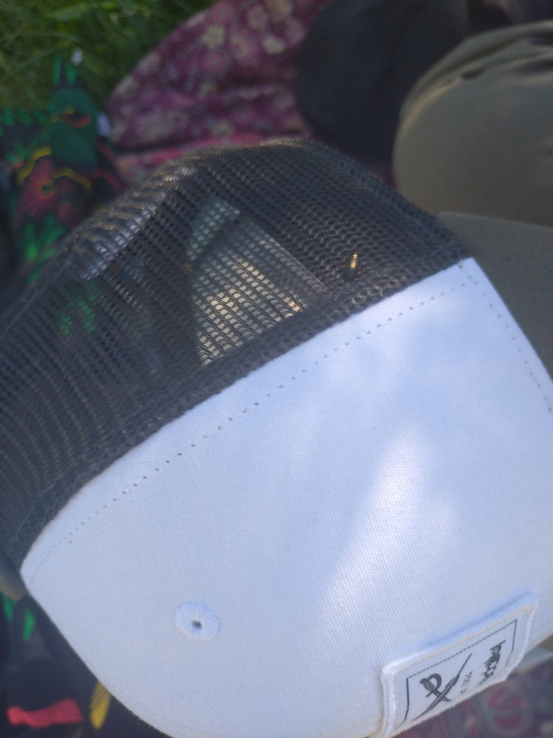 L'immagine mostra un piccolo meligete seduto su un cappello di stoffa.