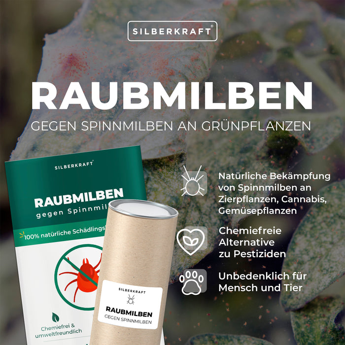 Acari predatori contro i ragni rossi sulle piante verdi