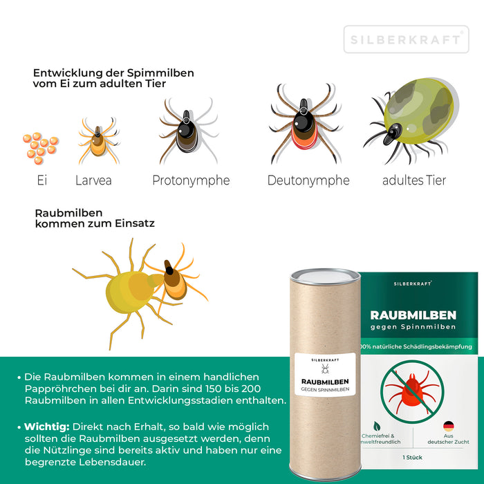 Acari predatori contro i ragni rossi sulle piante verdi