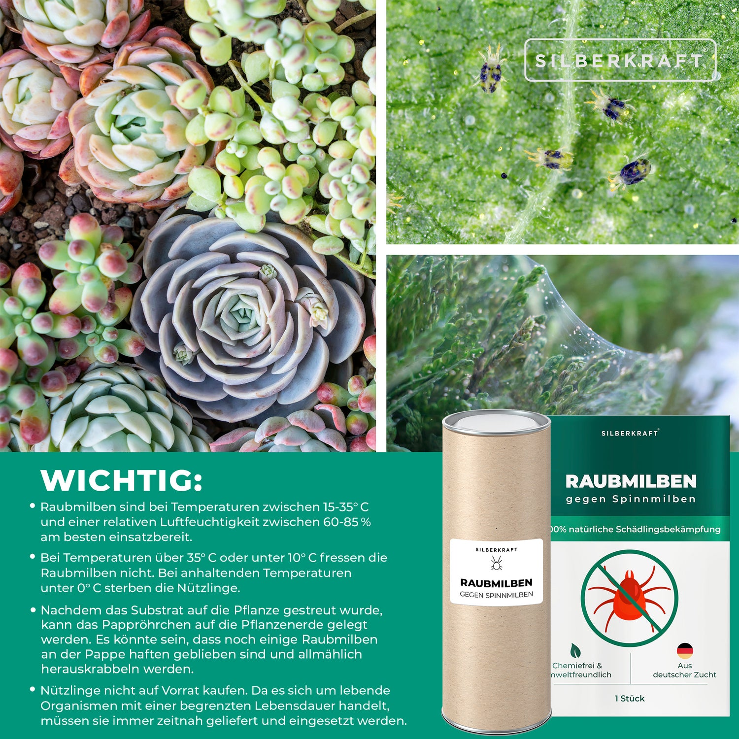 Istruzioni per l'applicazione