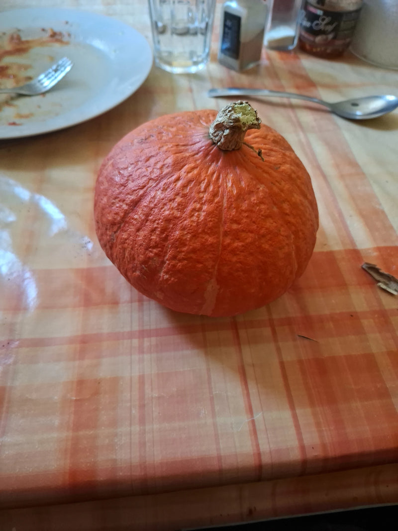Una zucca rosso-arancio poggia su una tovaglia a quadri vicino a delle stoviglie.