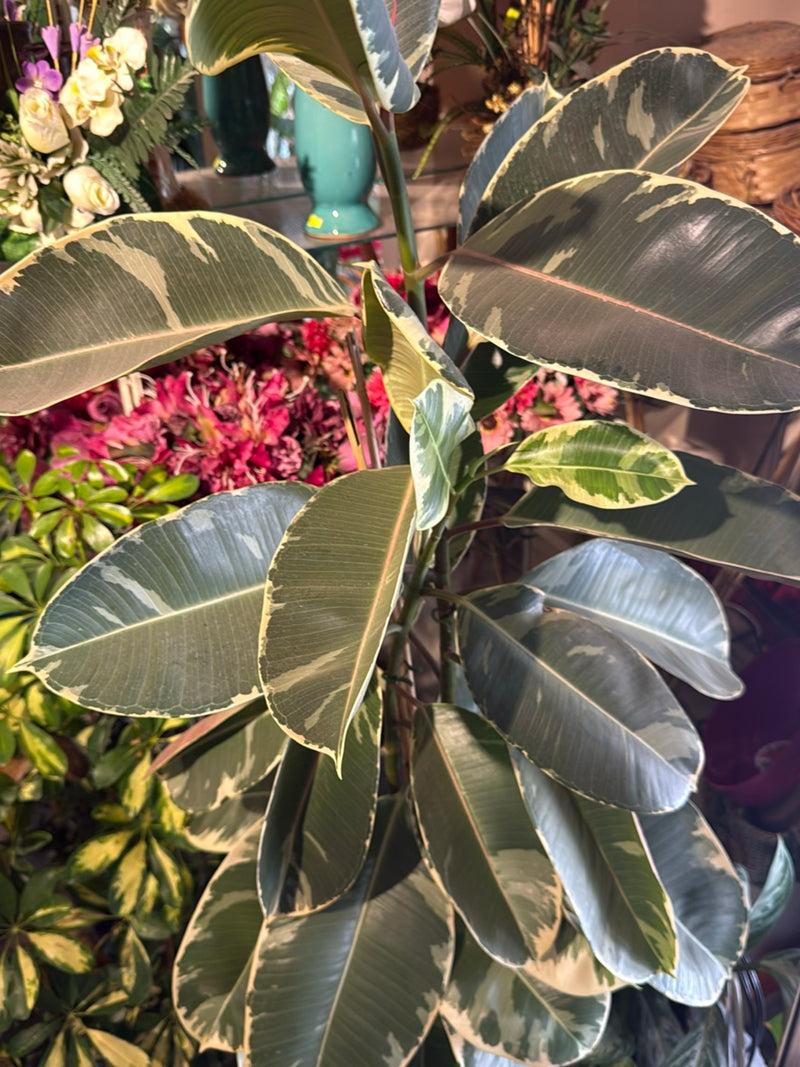 Cestino foderato rosa marante — Bild 1