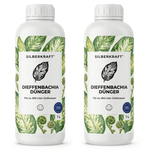 Fertilizzante Dieffenbachia - Silberkraft