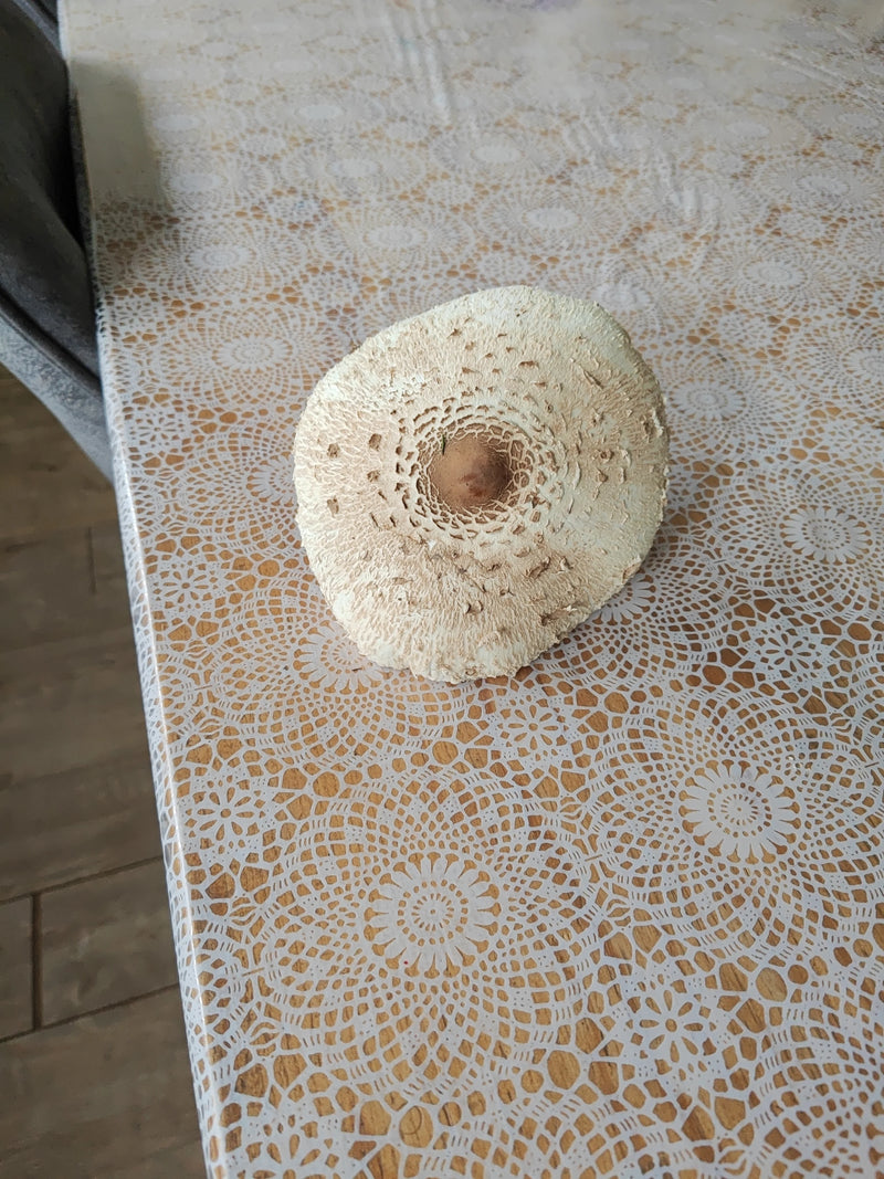 Ombrellone allo zafferano — foto 5 di 21