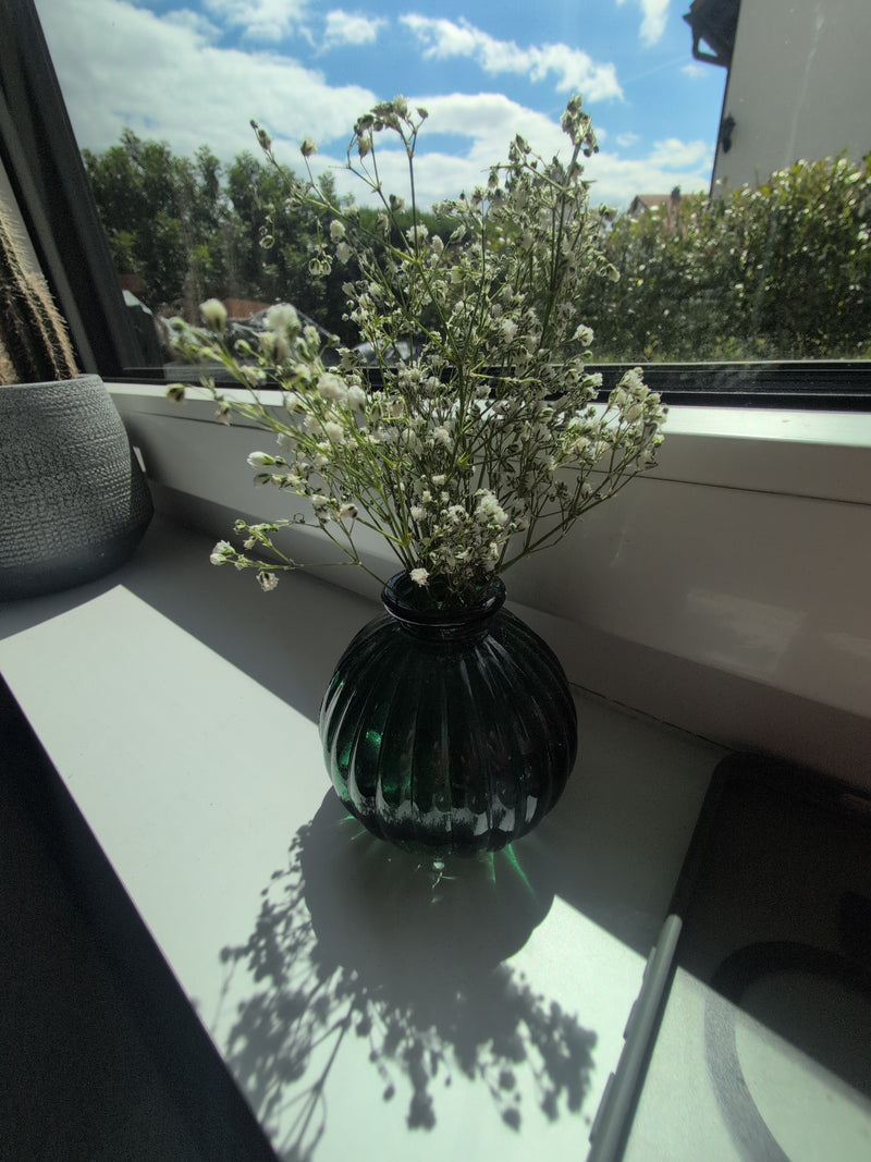 Gipsofila — Bild 2