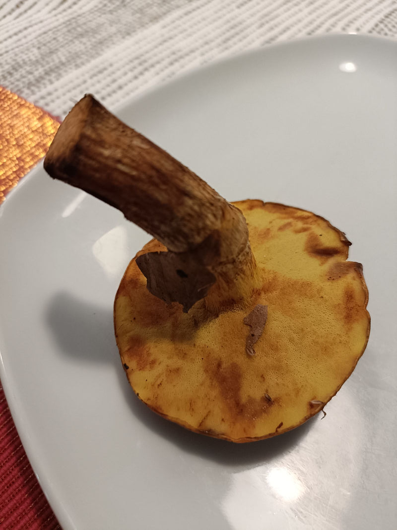 Porcini grassi — foto 2 di 3