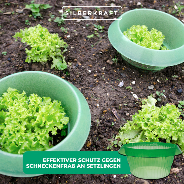 Collare per lumache: protezione efficace contro lumache e vermi sulle piantine