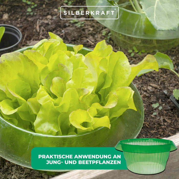 Collare per lumache: protezione efficace contro lumache e vermi sulle piantine