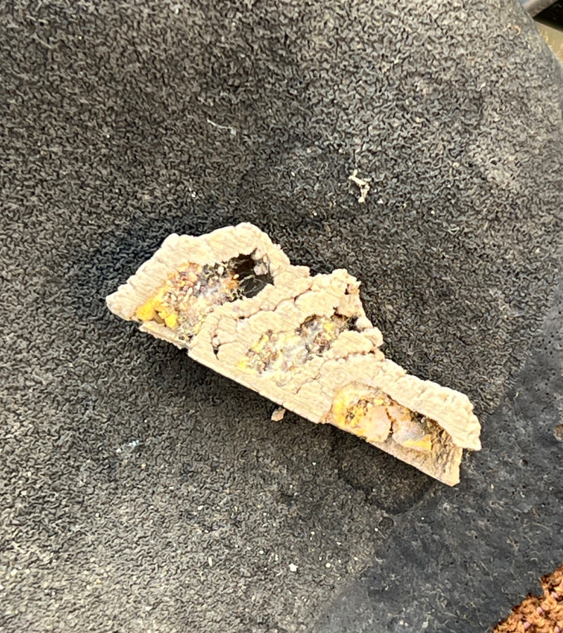 Ape di mortaio nero — Bild 1