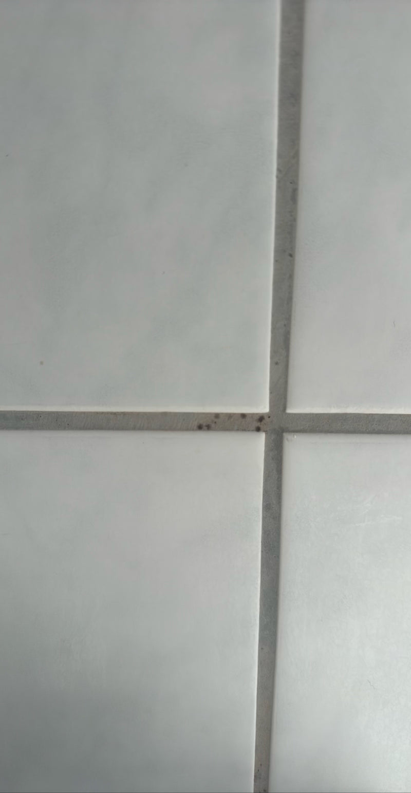 L'immagine mostra piccole macchie scure di muffa che crescono sulle fughe di piastrelle da parete più chiare.