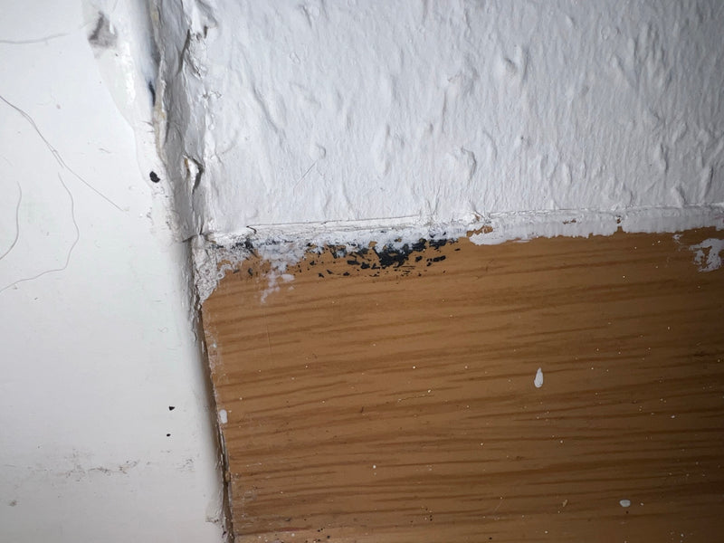 L'immagine mostra un'infestazione di muffa nera sul bordo tra una parete bianca e un battiscopa in legno. La colorazione scura indica la crescita di funghi.