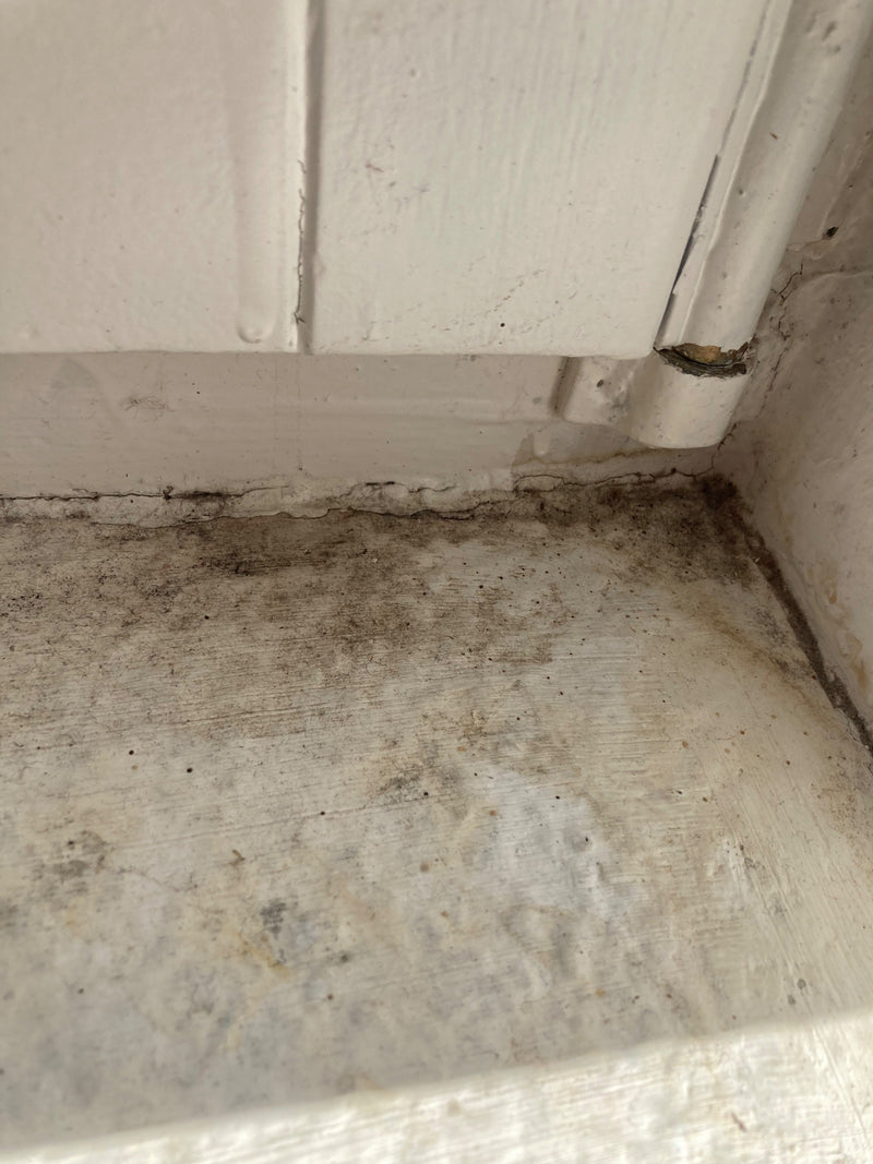 L'immagine mostra la crescita di muffa scura lungo un bordo di legno verniciato di bianco e una parete. Il fungo cresce piatto sulla superficie umida.