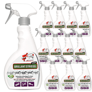 Spray per coda e criniera Brillante per un pelo di cavallo lucente