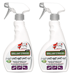 Spray per coda e criniera Brillante per crine di cavallo lucente - Silberkraft