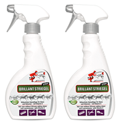 Spray per coda e criniera Brillante per un pelo di cavallo lucente
