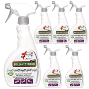 Spray per coda e criniera Brillante per un pelo di cavallo lucente