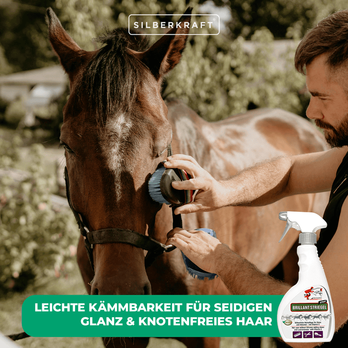 Spray per coda e criniera Brillante per un pelo di cavallo lucente