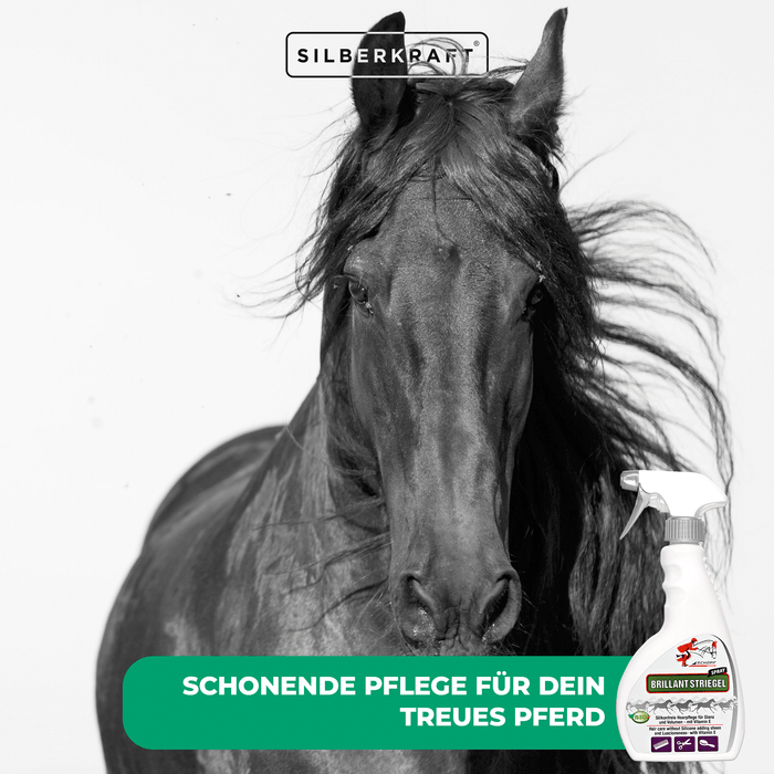 Spray per coda e criniera Brillante per un pelo di cavallo lucente