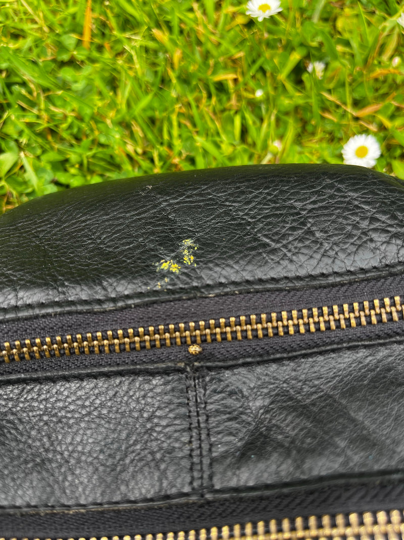Una coccinella a sedici macchie è seduta sulla cerniera di una borsa di pelle nera. Sfondo con prato verde e margherite.