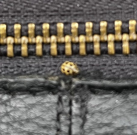 Una coccinella a sedici macchie è seduta su una cerniera scura. L'insetto è chiaramente visibile in primo piano.