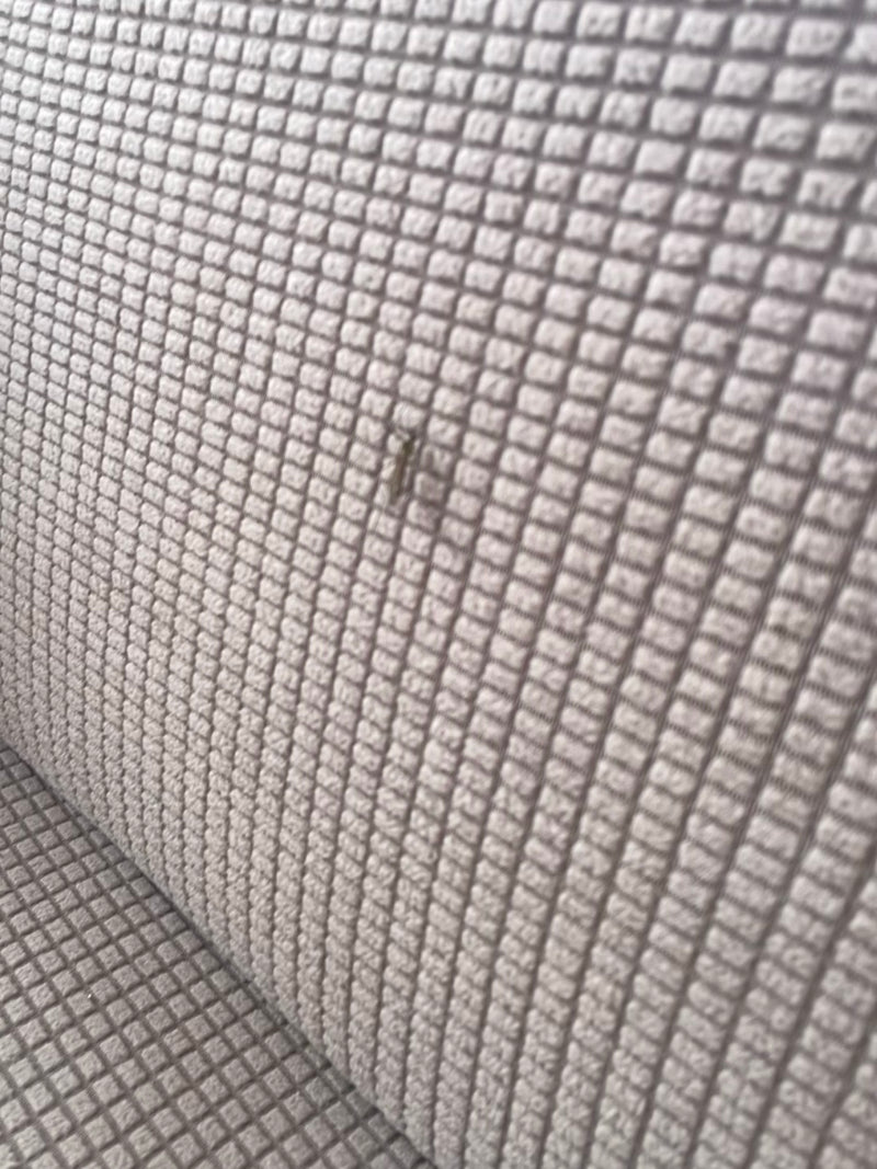 Una piccola pesciolina d'argento è seduta su una superficie tessile strutturata. L'insetto è visibile solo debolmente a causa della distanza.
