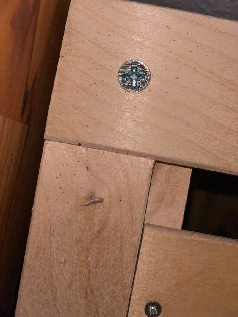 Un singolo pesciolino d'argento si trova su una superficie di legno chiaro. Il piccolo insetto allungato è vicino a una vite a croce.