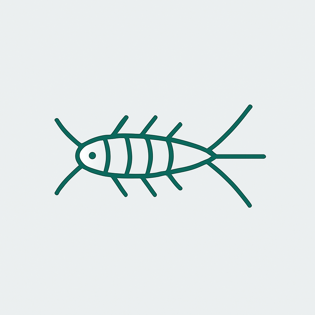 pesciolini d'argento