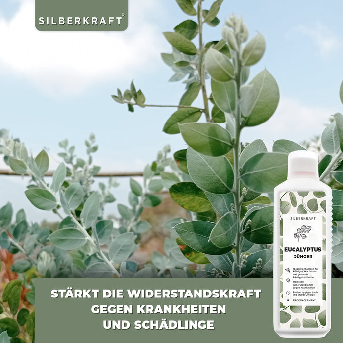 Fertilizzante per eucalipto - Fertilizzante liquido minerale NPK con azoto - Fertilizzante per eucalipto - Fertilizzazione degli alberi di eucalipto