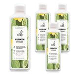 Concime di cetriolo - Concime liquido minerale NPK con azoto - Concime per piante di cetriolo - Concime vegetale - Silberkraft