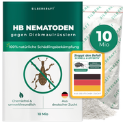 Nematodi HB per combattere i punteruoli neri e le larve